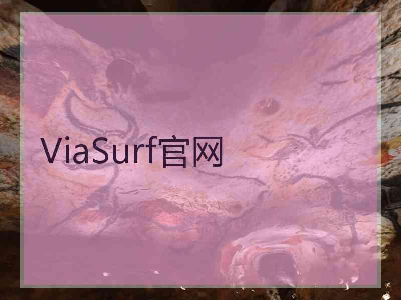 ViaSurf官网