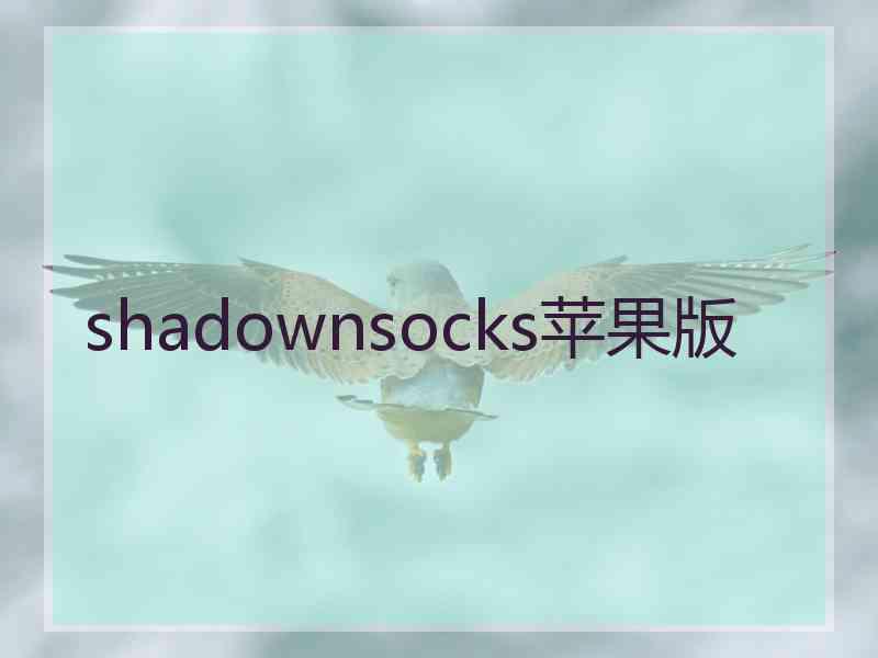 shadownsocks苹果版