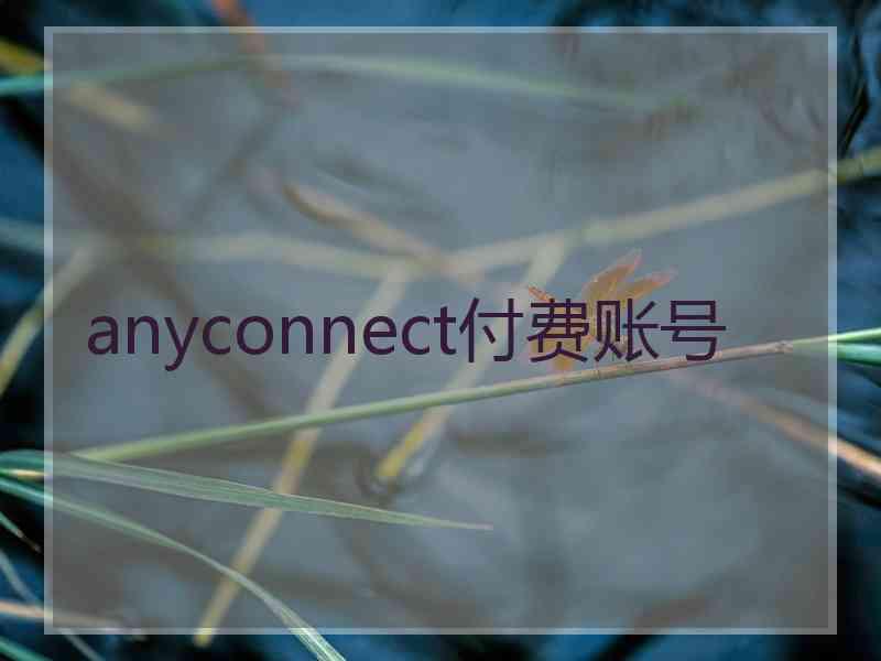 anyconnect付费账号