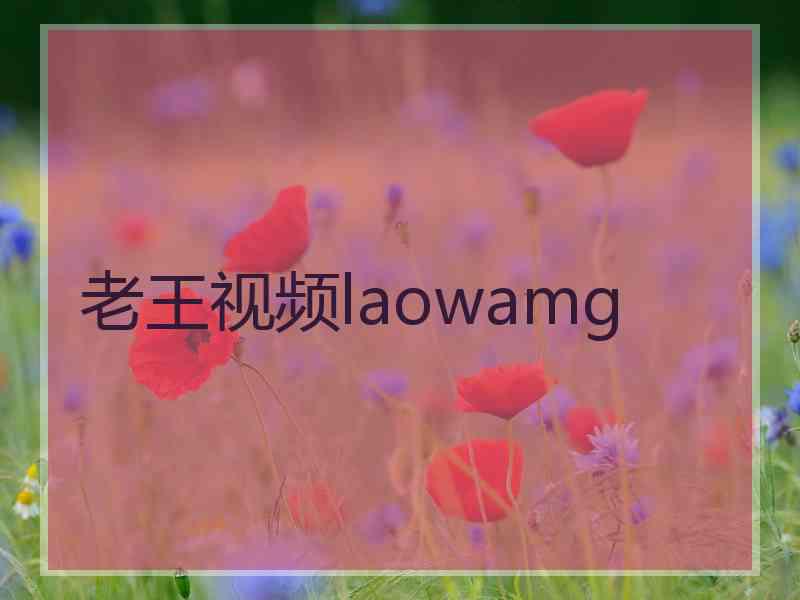 老王视频laowamg