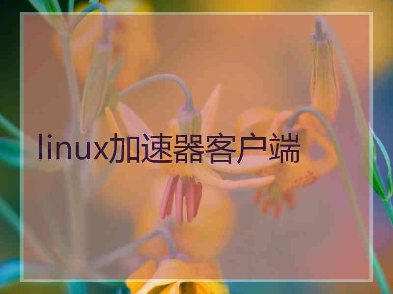 linux加速器客户端