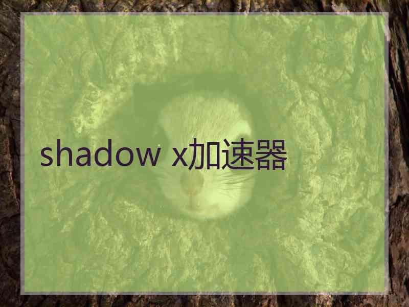 shadow x加速器